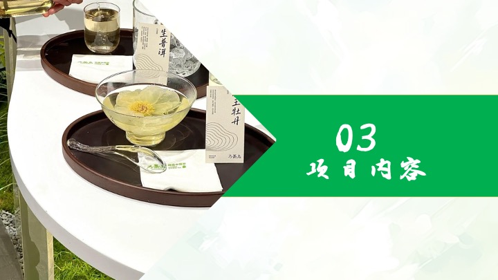 文旅景区茶文化艺术节暨新茶饮竞赛（龙坞Tea计划·唤醒世界主题）活动策划方案