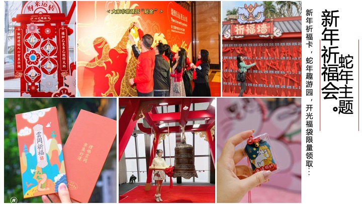商业地产蛇年元旦跨年祈福会（蛇势如虹·新年祈福主题）活动策划方案