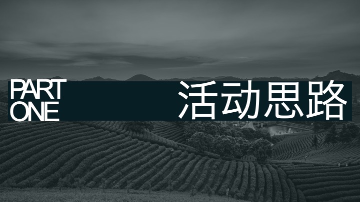 安吉白茶节茶叶露营旅游度假大会