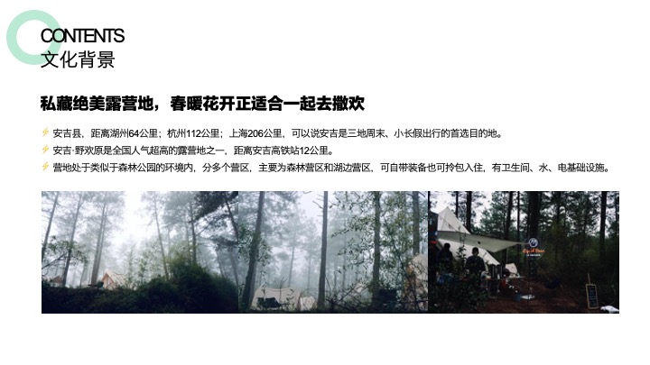 安吉白茶节茶叶露营旅游度假大会