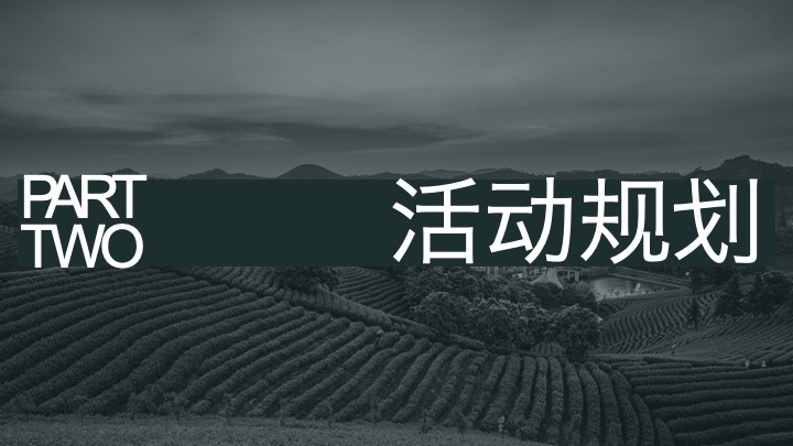 安吉白茶节茶叶露营旅游度假大会