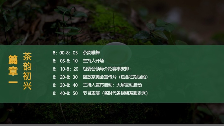 第十届中华茶奥会（茶也疯狂主题）预选赛活动策划方案