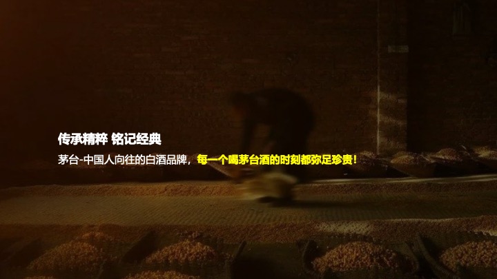 白酒品牌酱香芳华会员沙龙（好酒恰逢其时主题）活动策划方案