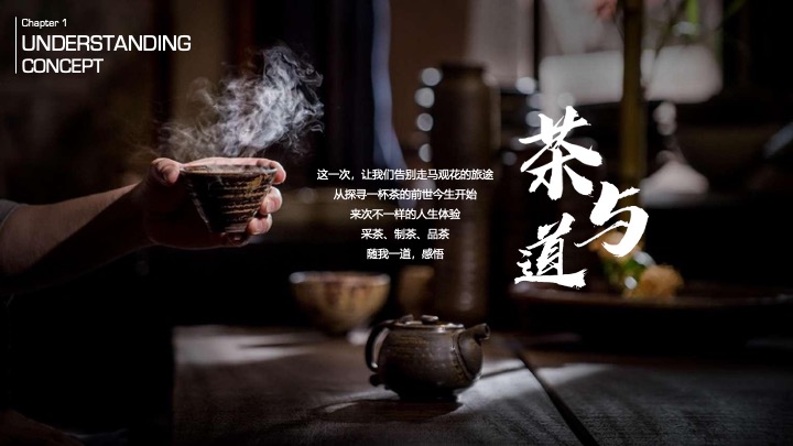 茶与道茶文化主题嘉年华创意活动方案