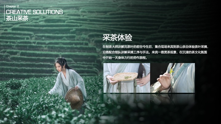 茶与道茶文化主题嘉年华创意活动方案