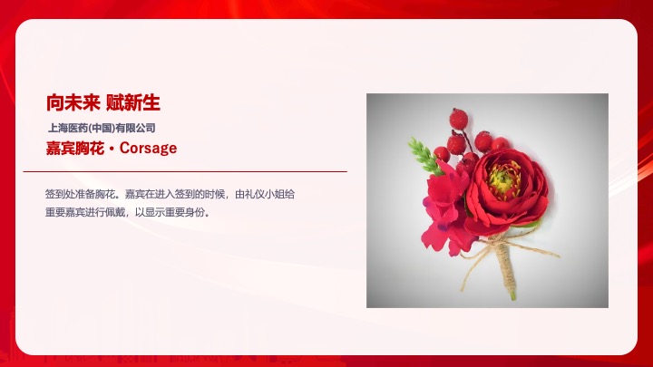 企业公司蛇年新春年会及颁奖典礼（向未来·赋新生主题）活动策划方案