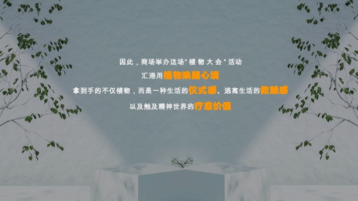 正植青年x放青松乐园植物大会活动方案