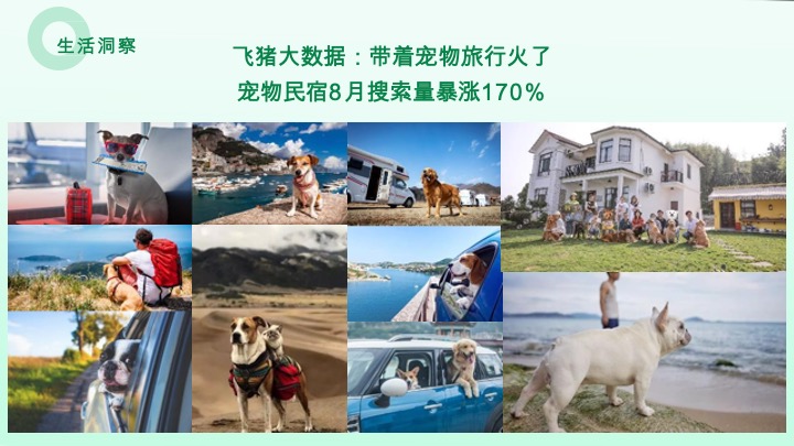 安吉桃花源萌宠露营节活动方案