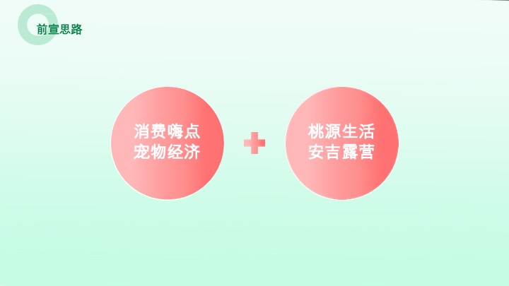 安吉桃花源萌宠露营节活动方案