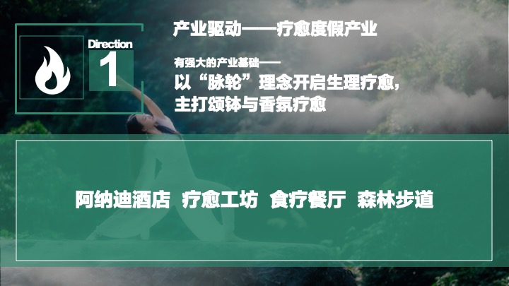 文旅田园康养疗愈小镇规划设计方案