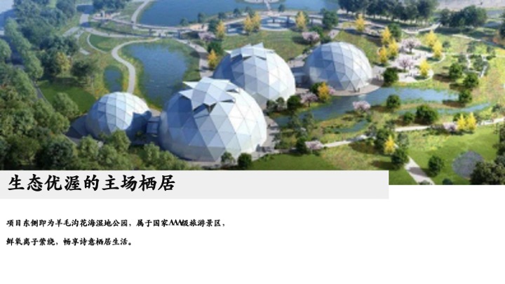 青岛动投春阳里推广执行方案#年度方案##大城#