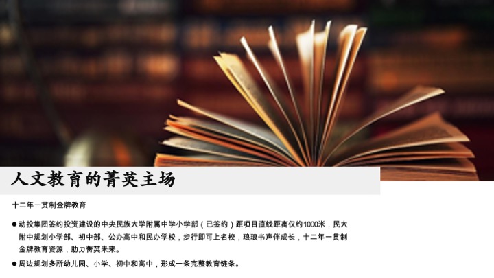 青岛动投春阳里推广执行方案#年度方案##大城#