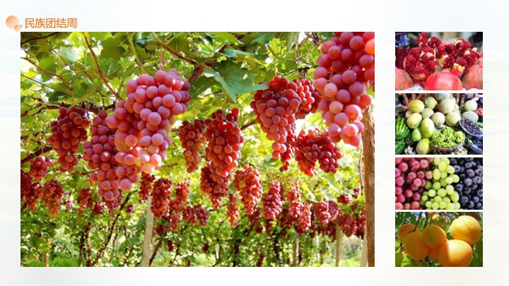 大美新疆文旅振兴大美昌吉绿水乌昌系列文旅活动策划