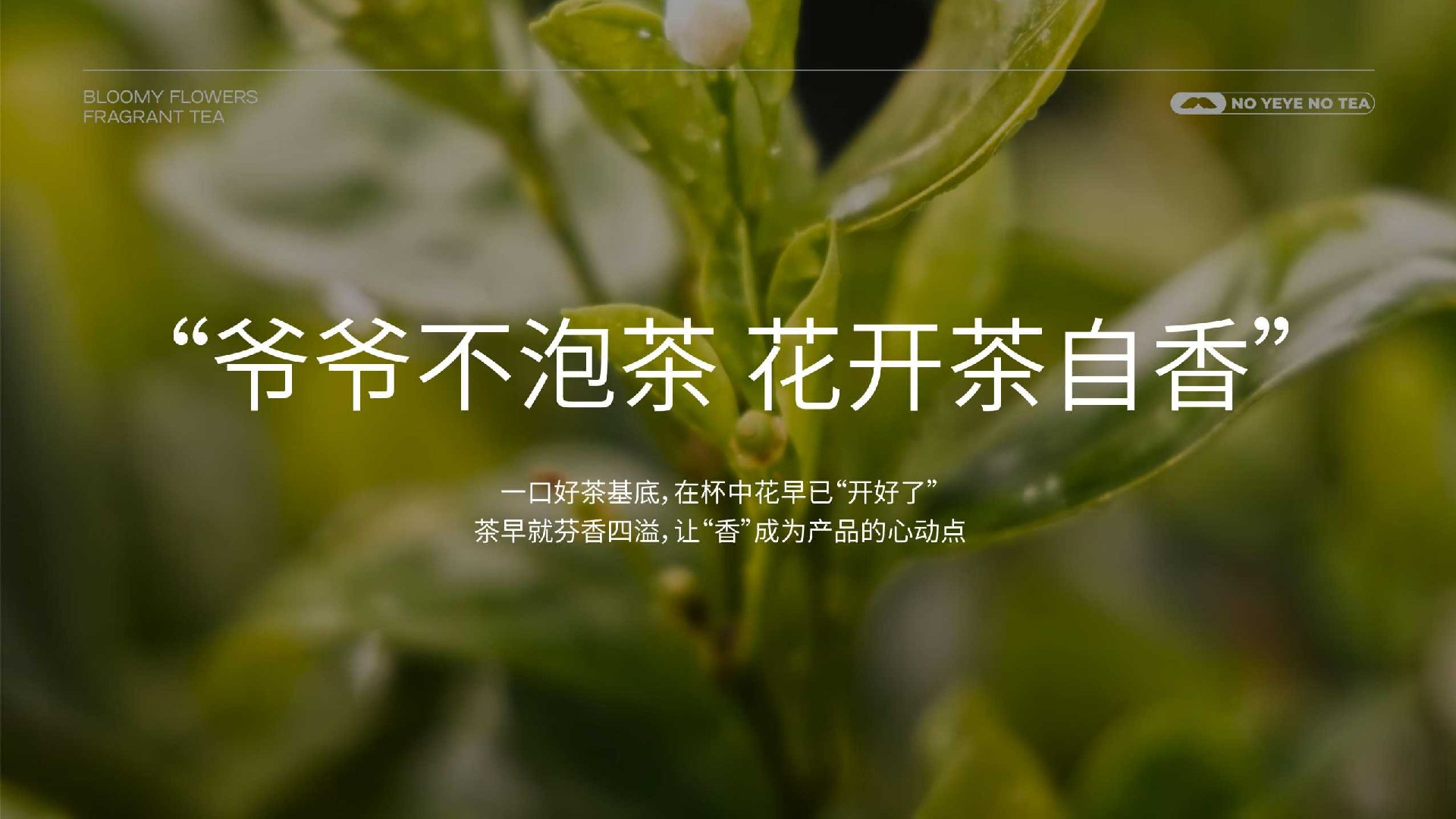 爷爷不泡茶-品牌手册