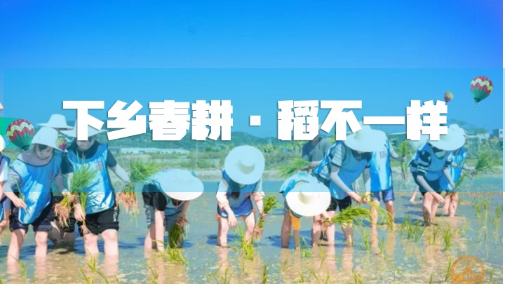 春季亲子农耕研学(下乡春耕·稻不一样主题)活动策划方案