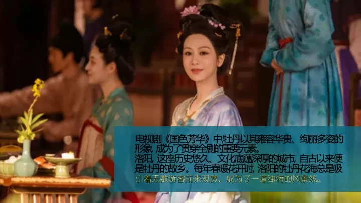 文旅项目春季国风奇妙游园会（盛唐风韵·芳华一梦主题）活动策划方案