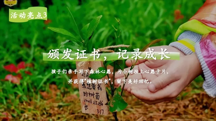 文旅景区植树节春季亲子户外体验（植春绿·种希望主题）活动策划方案