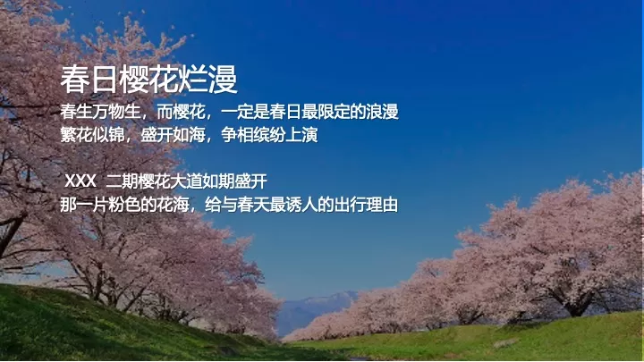 地产项目春季趣味樱花游园会（Let's樱JOY主题）活动策划方案