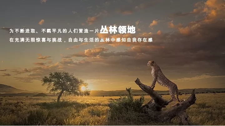 森林文旅景区全年营销规划案