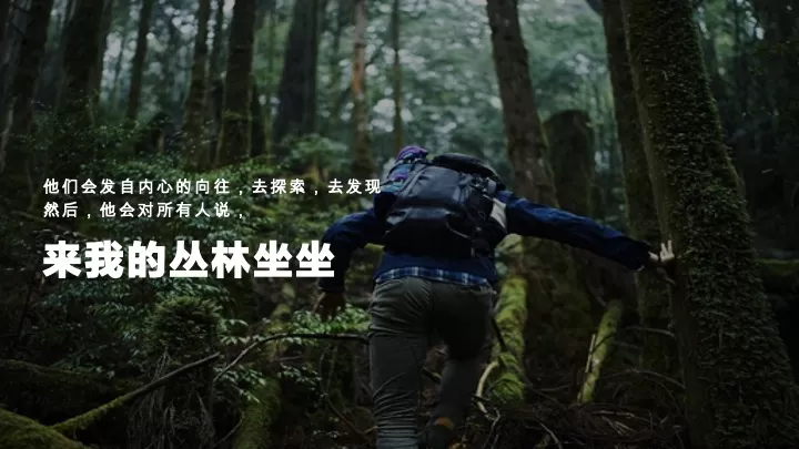 森林文旅景区全年营销规划案