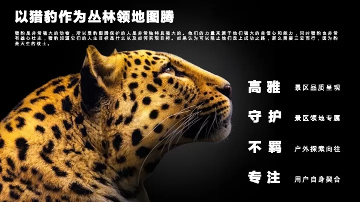 森林文旅景区全年营销规划案