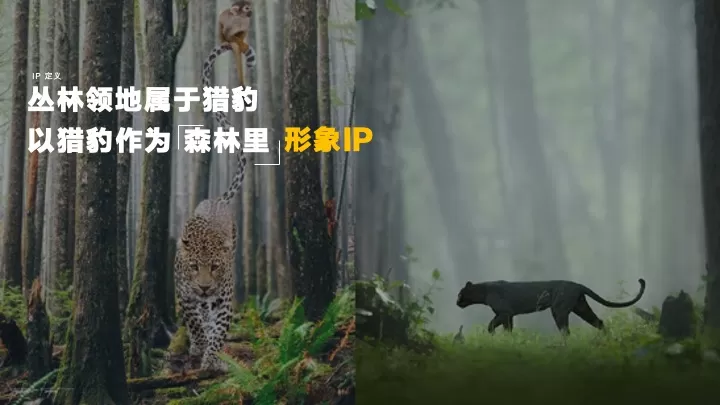 森林文旅景区全年营销规划案