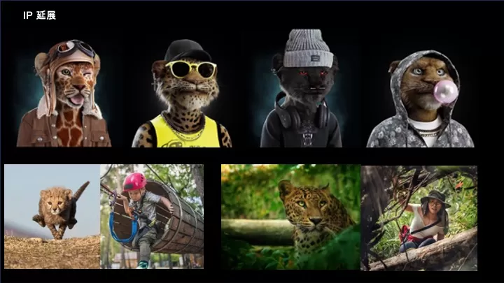 森林文旅景区全年营销规划案