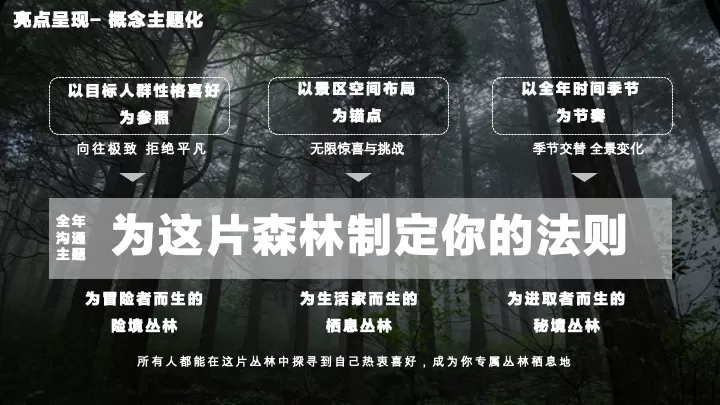 森林文旅景区全年营销规划案