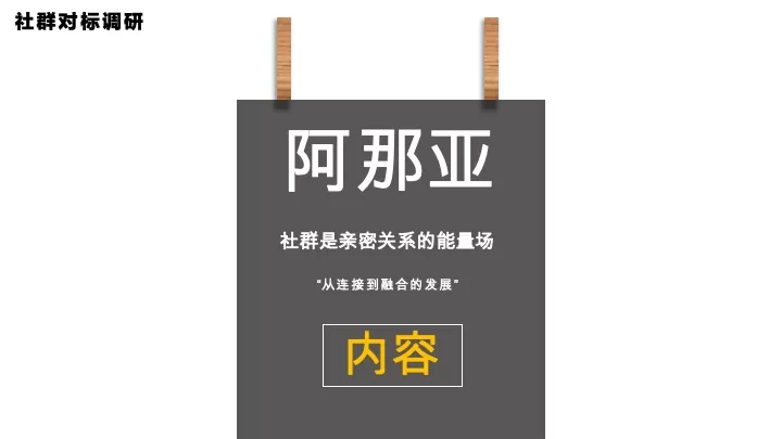 森林文旅景区全年营销规划案