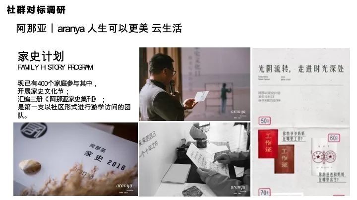 森林文旅景区全年营销规划案