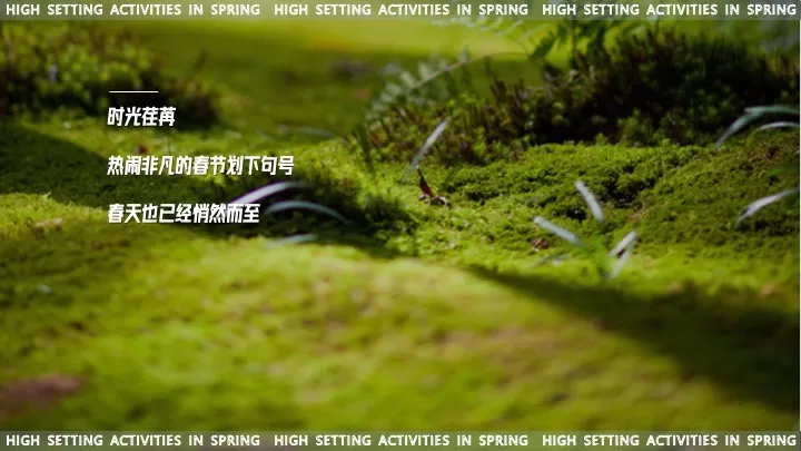 商业综合体春季营销（森临其境·约绘春天主题）活动策划方案