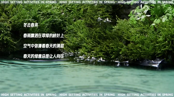 商业综合体春季营销（森临其境·约绘春天主题）活动策划方案