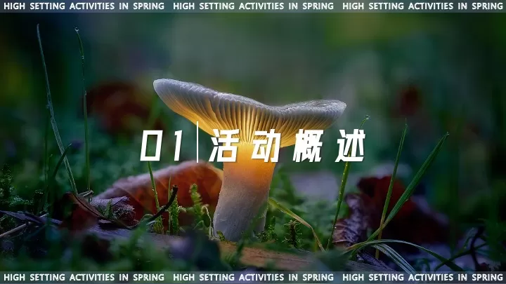 商业综合体春季营销（森临其境·约绘春天主题）活动策划方案