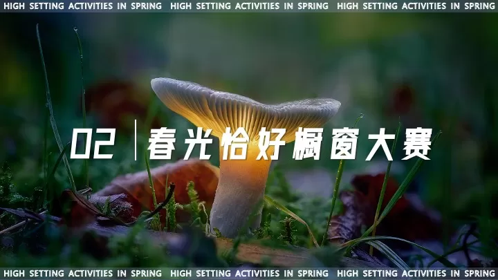 商业综合体春季营销（森临其境·约绘春天主题）活动策划方案