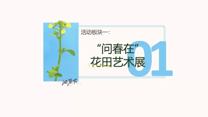 文旅景区春日油菜花节（春日潮玩荟·花漫覆卮山主题）活动策划方案