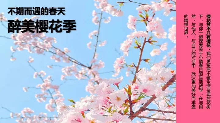 商业地产春季创意樱花游园会（不期而遇的春天主题）活动策划方案