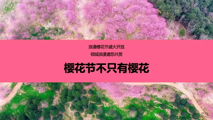 商业地产春季创意樱花游园会（不期而遇的春天主题）活动策划方案