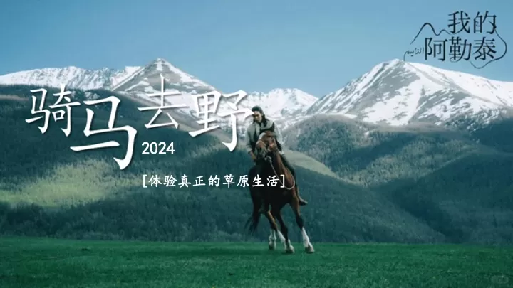 企业公司奔向旷野《我的阿勒泰》同款团建活动策划方案