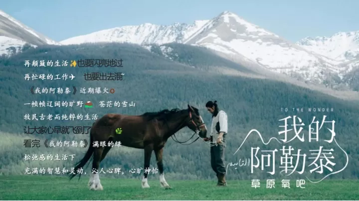 企业公司奔向旷野《我的阿勒泰》同款团建活动策划方案