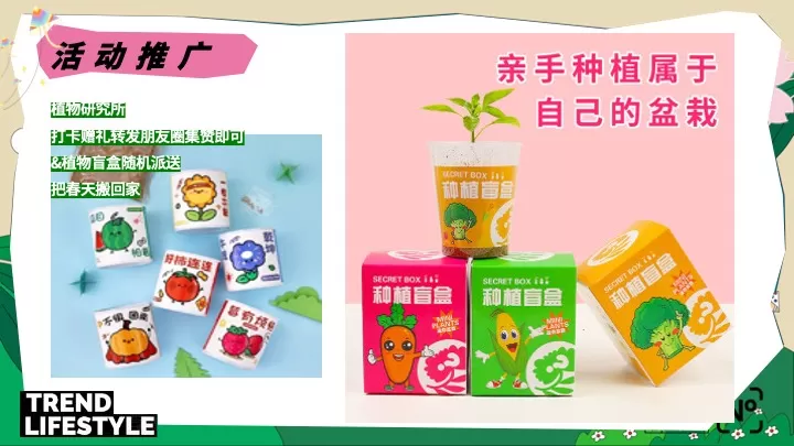 商场地产景区春日放风计划（踏春而行·向野而生主题）活动策划方案