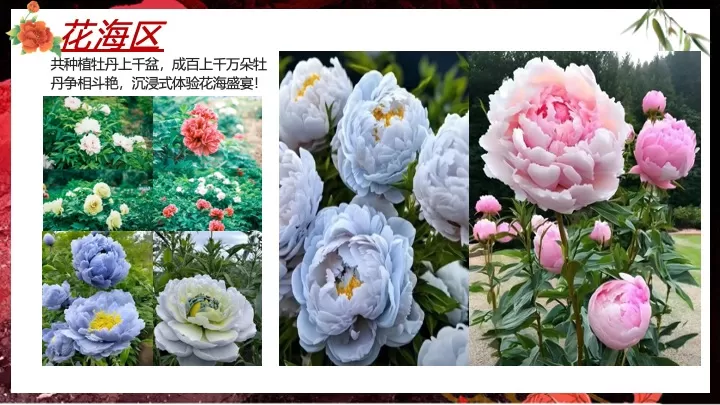 地产项目春季唐朝牡丹主题游园会（国色天香 共赏芳华主题）活动策划方案