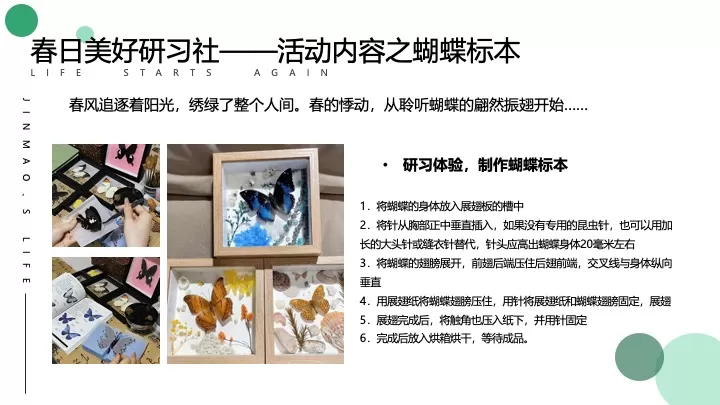 地产项目春季DIY手工暖场（春日美好研习社主题）活动策划方案