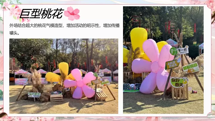 文旅景区首届桃花文化旅游节（花开春日·喜乐桃桃主题）活动策划方案