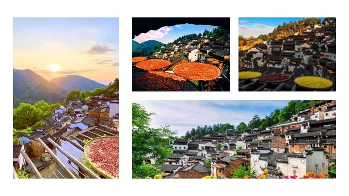 企业公司旅游团建拓展（魅力黄山·人文徽州主题）活动策划方案