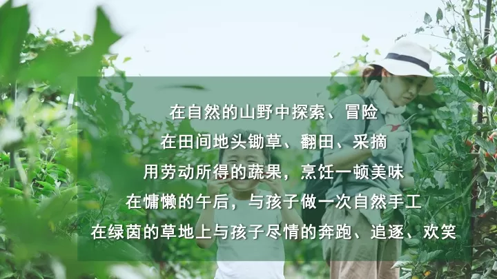 五一劳动节田野研学（播种春光·亲子共耕主题）活动策划方案
