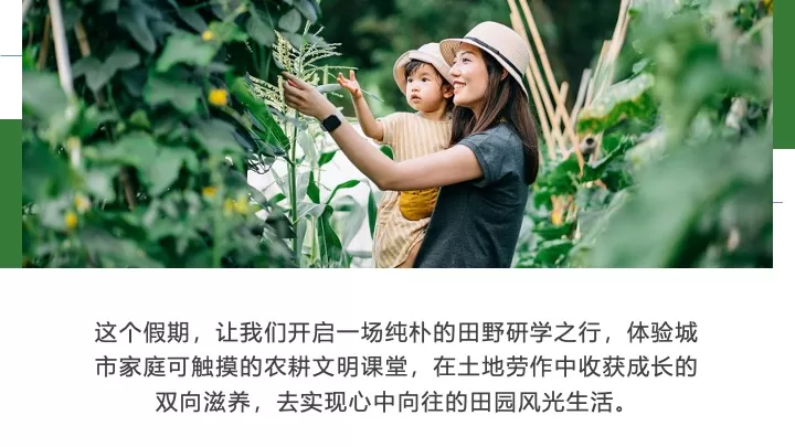 五一劳动节田野研学（播种春光·亲子共耕主题）活动策划方案