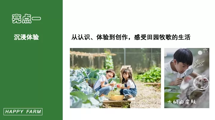 五一劳动节田野研学（播种春光·亲子共耕主题）活动策划方案