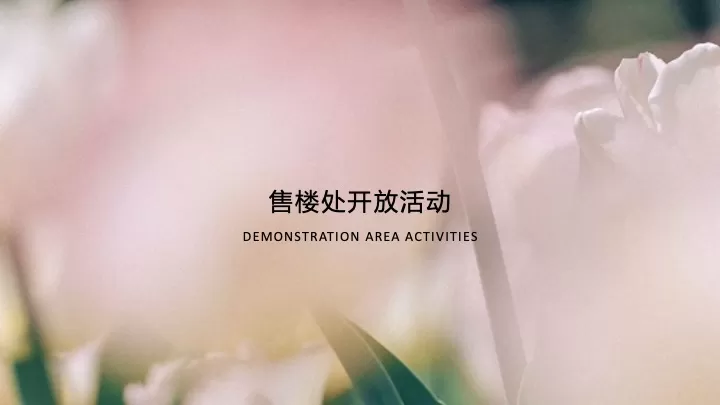 地产项目春韵雅集暨售楼处开放（邂逅春日里的理想家主题）活动策划方案