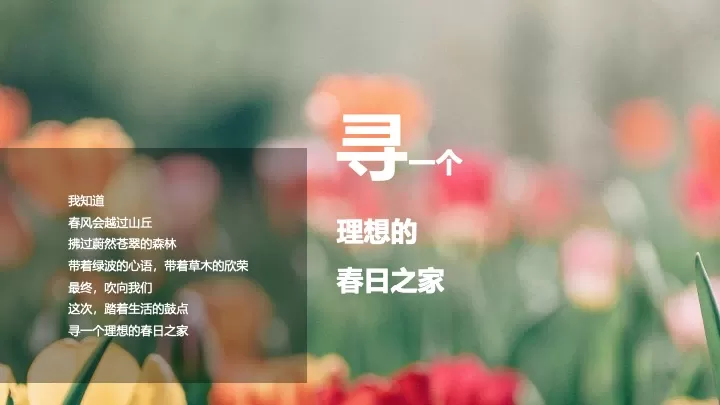 地产项目春韵雅集暨售楼处开放（邂逅春日里的理想家主题）活动策划方案