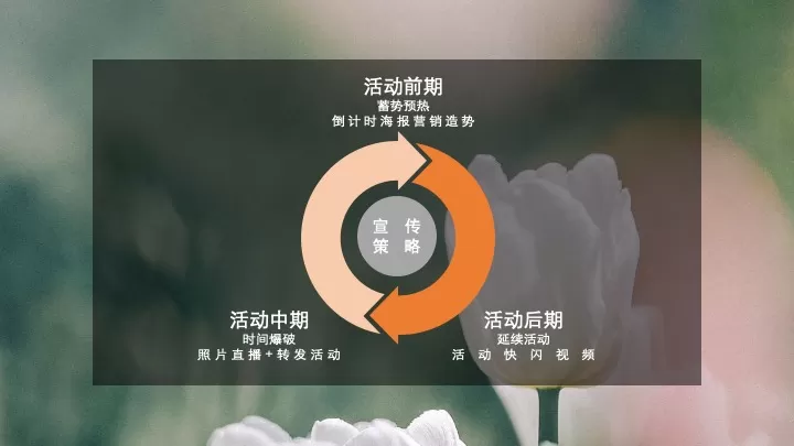 地产项目春韵雅集暨售楼处开放（邂逅春日里的理想家主题）活动策划方案